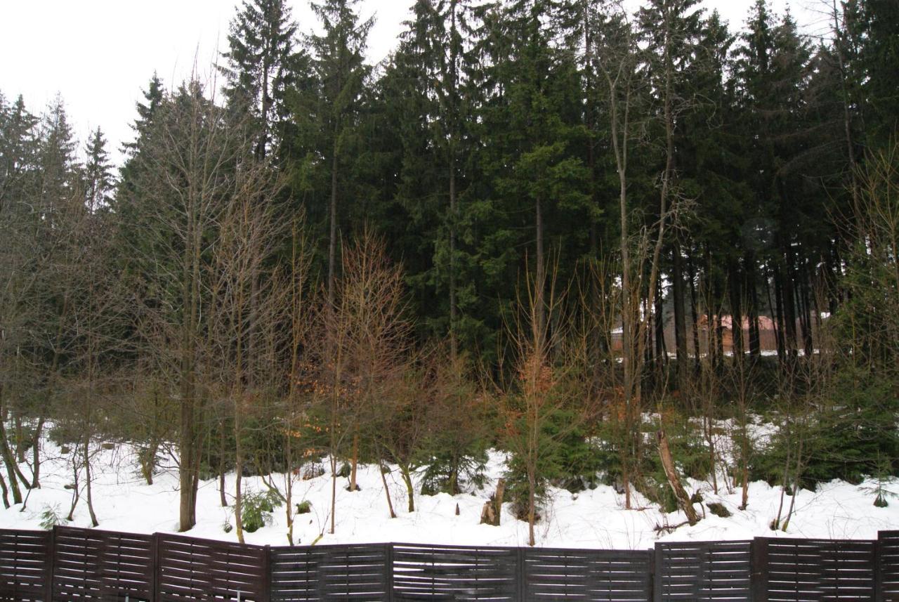 Fewo Adler 2-6 Personen Braunlage Dış mekan fotoğraf